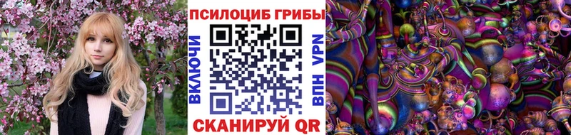 Галлюциногенные грибы Cubensis  Шатура 